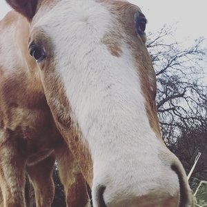 Meet your Posher, Madison